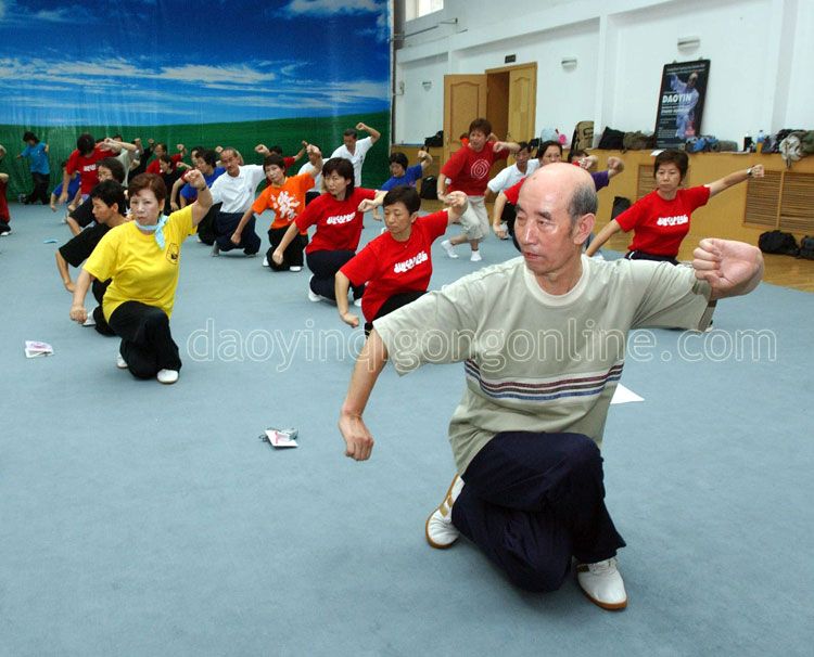 Daoyin Yangsheng Gong Shi Er Fa