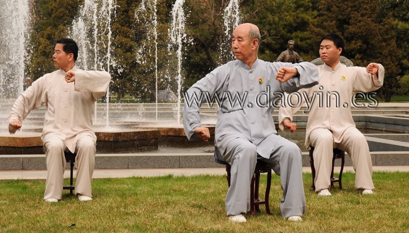 Daoyin Shi Er Fa del profesor Zhang Guangde