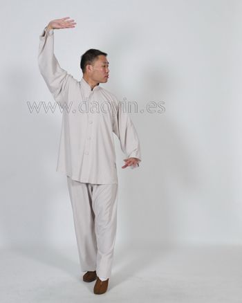 Daoyin Yangsheng Gong Shi Er Fa.