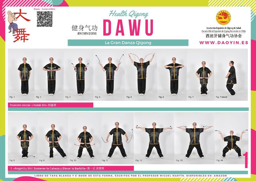 Dawu Qigong formación materiales