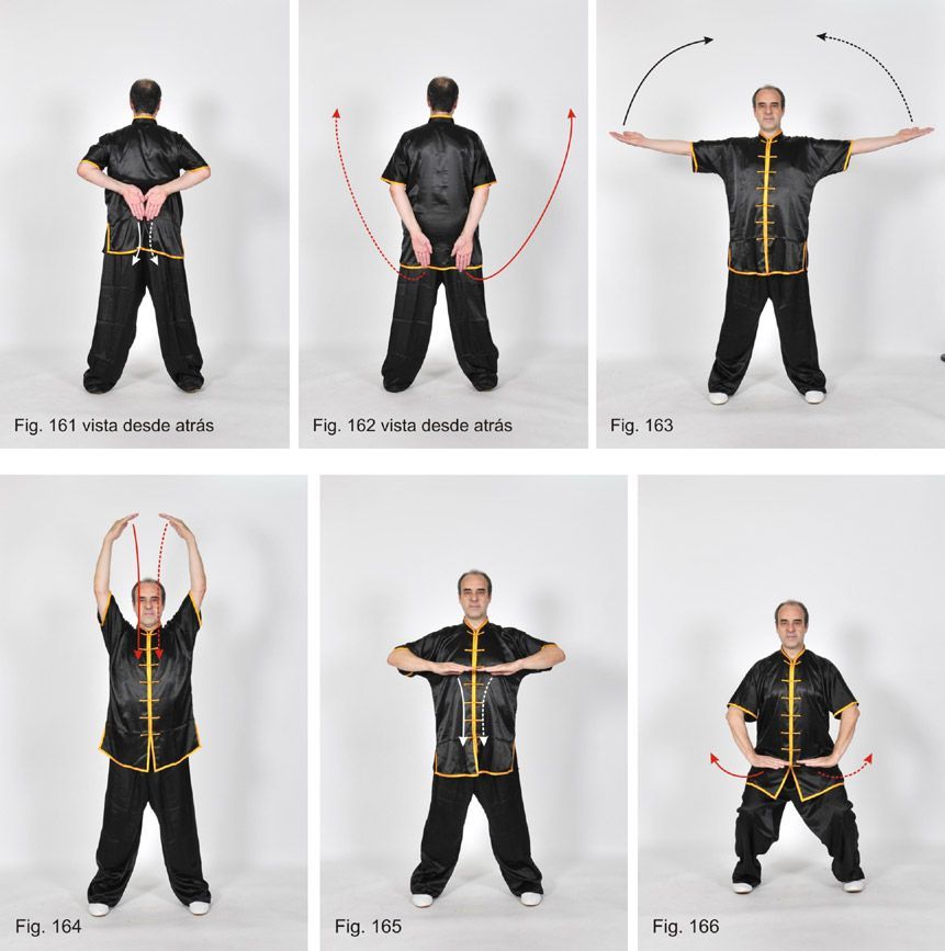Dawu Qigong | Sexto Ejercicio. Oscilar la Cadera.