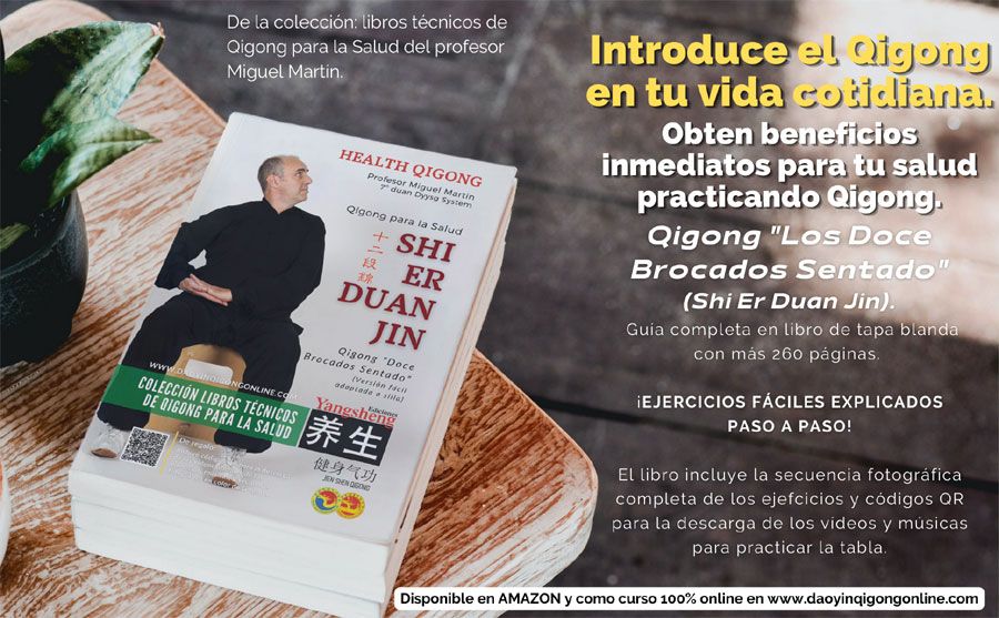 Shi er duan jin