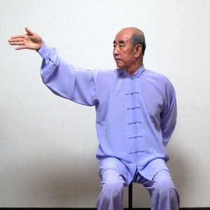 Daoyin Yangsheng Gong para Activación de Meridianos