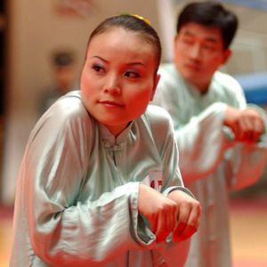 QIGONG PARA LA SALUD 300